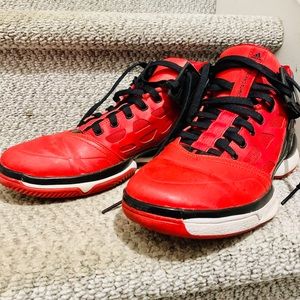 Derrick Rose adizero rose 2 flights cancelled